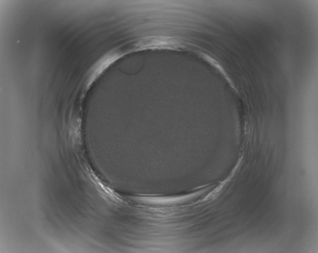 X0000081611066200701151359