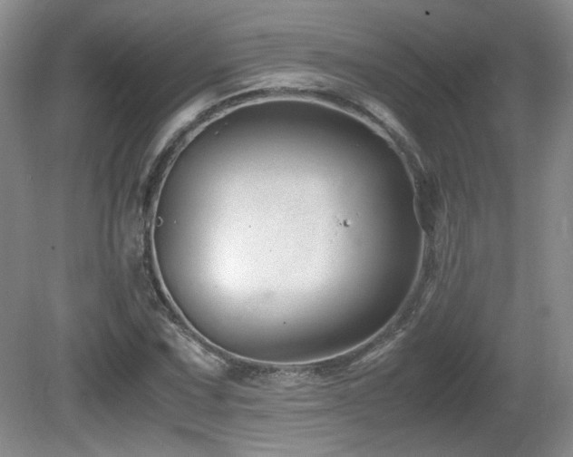 X0000081611067200701151359