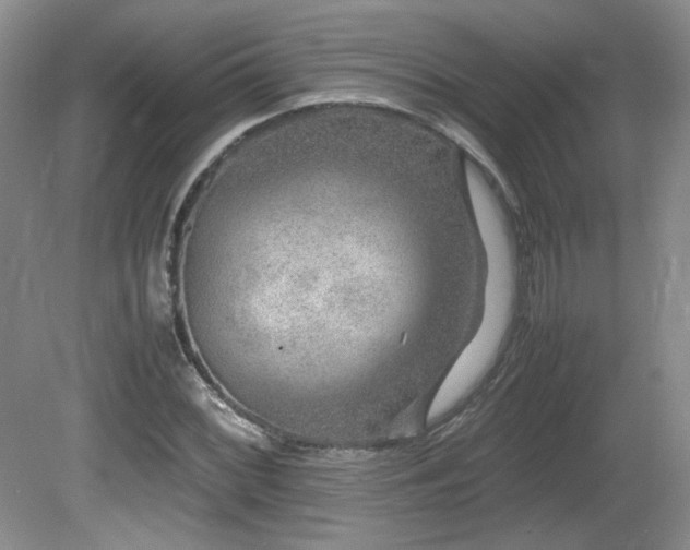 X0000081611068200701151359