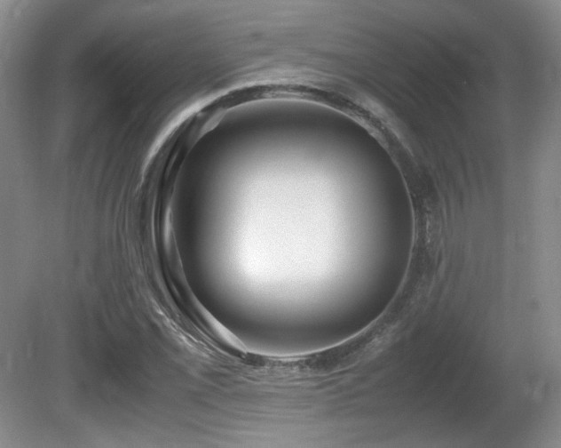 X0000081611069200701151359