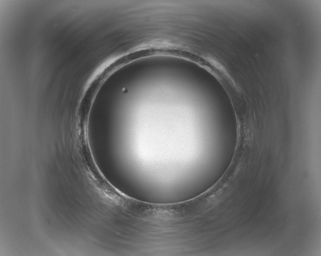 X0000081611070200701151359