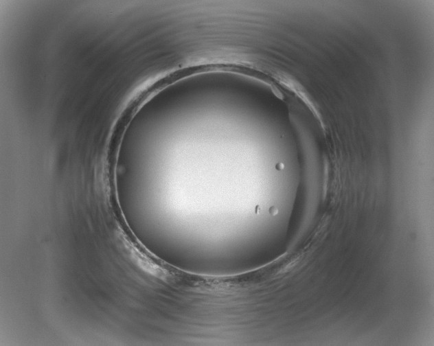 X0000081611072200701151359