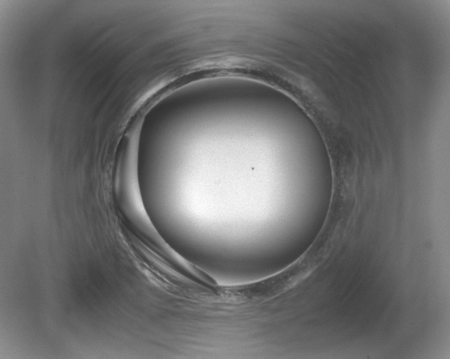 X0000081611073200701151359