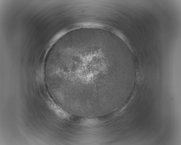 X0000081611074200701151359