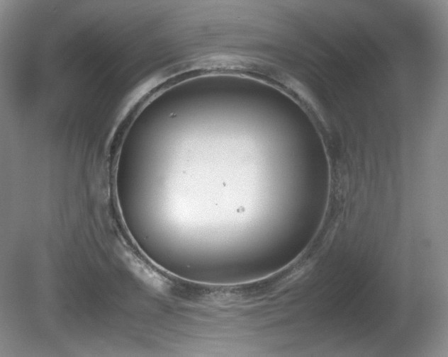 X0000081611075200701151359