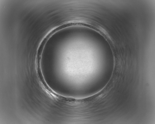 X0000081611076200701151359