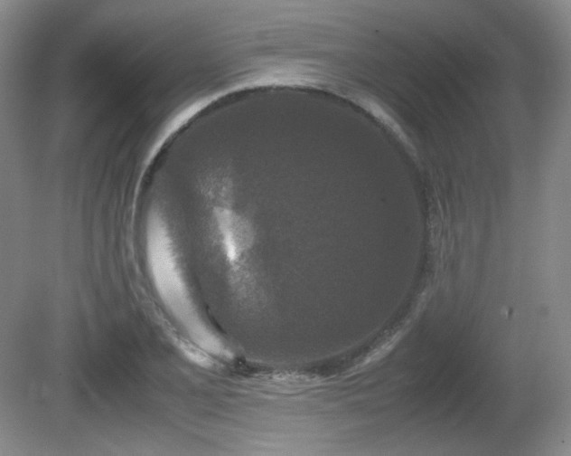 X0000081611077200701151359