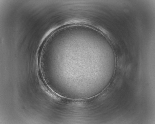 X0000081611078200701151359