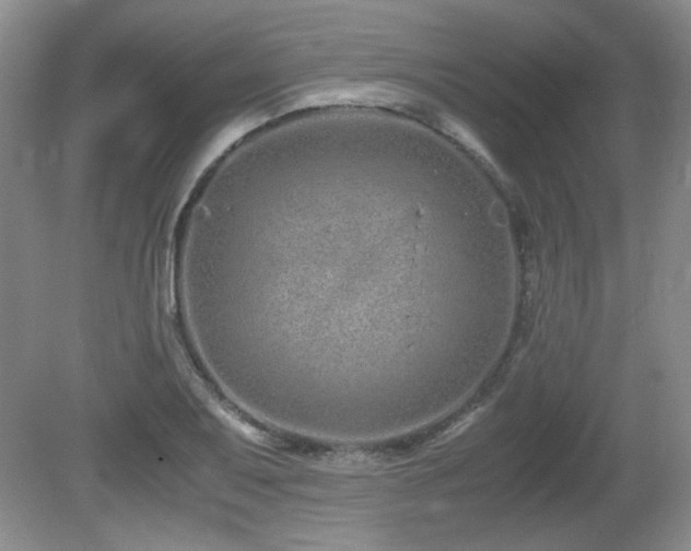 X0000081611079200701151359