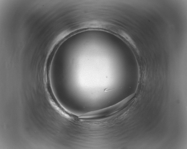 X0000081611080200701151359