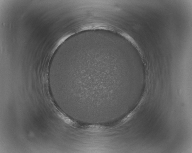 X0000081611081200701151359