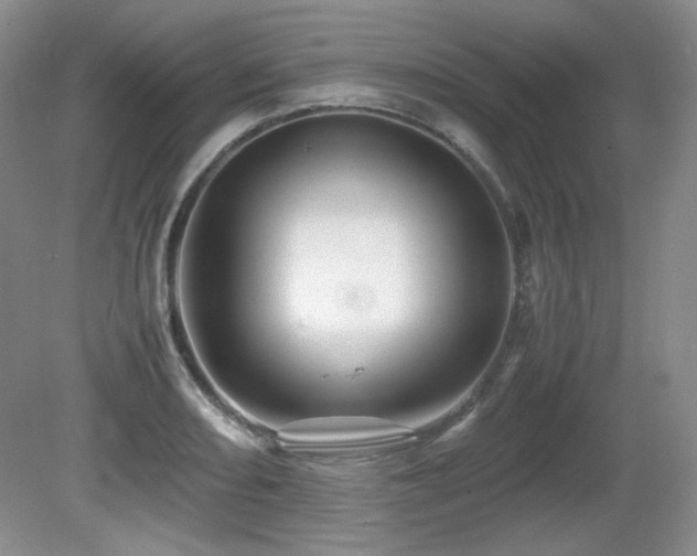 X0000081611082200701151359