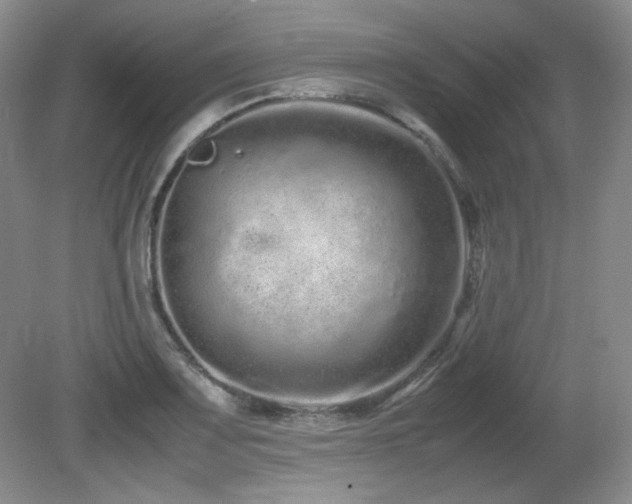 X0000081611083200701151359