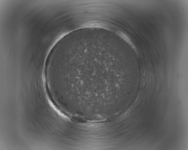 X0000081611084200701151359