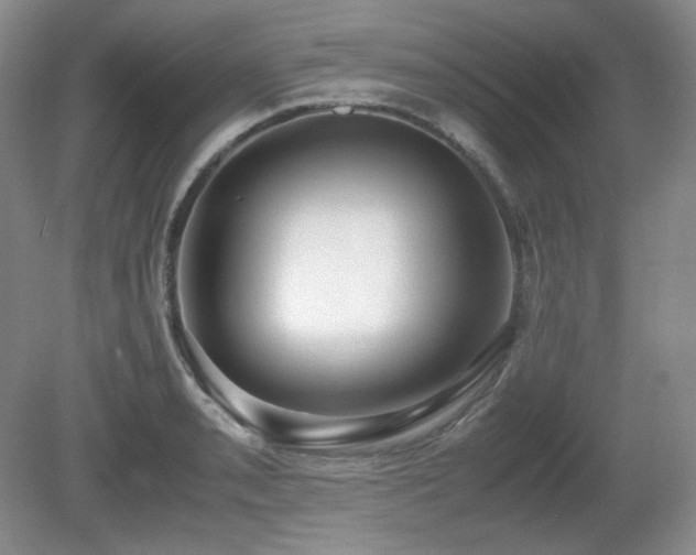 X0000081611085200701151359