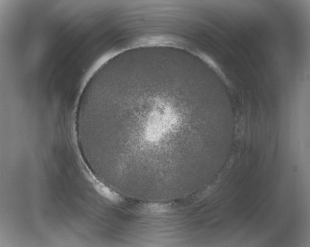 X0000081611086200701151359