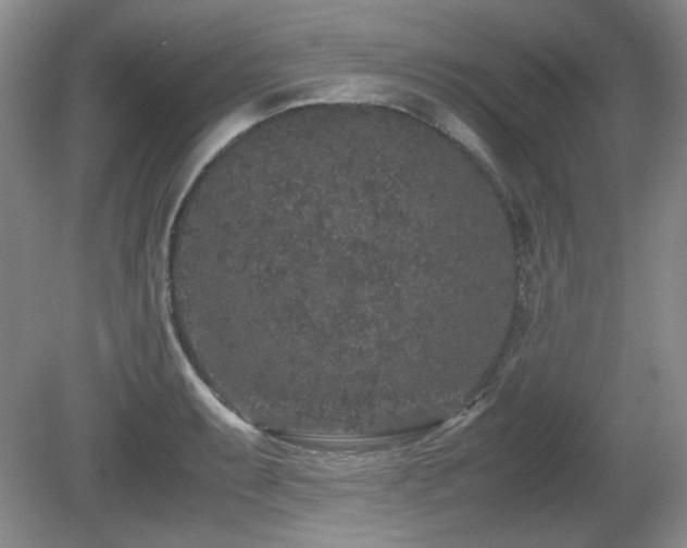 X0000081611087200701151359