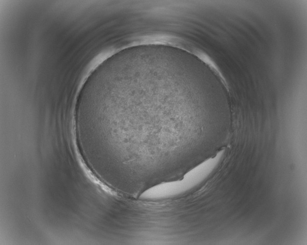 X0000081611088200701151359