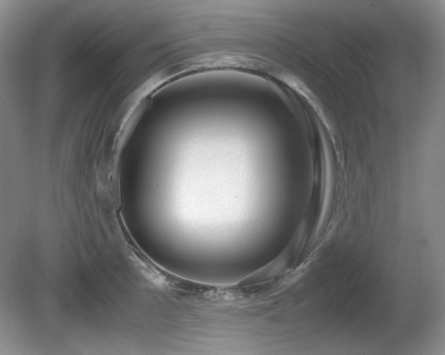 X0000081611089200701151359