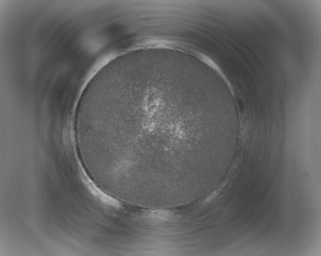 X0000081611090200701151359