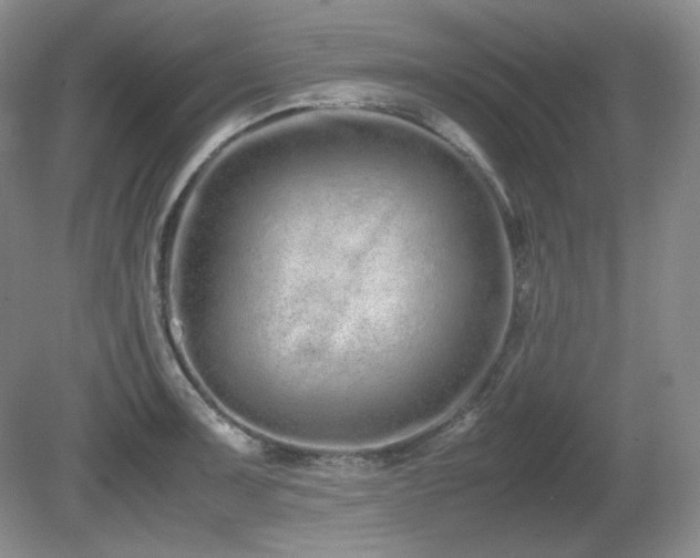 X0000081611091200701151359