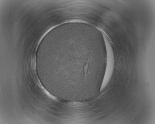 X0000081611092200701151359