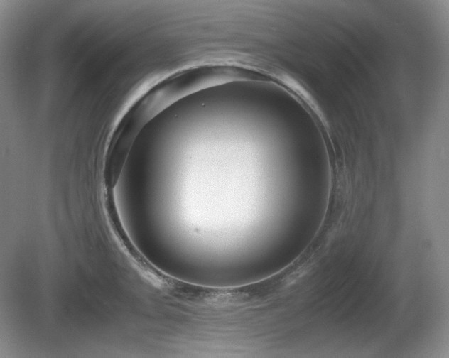 X0000081611093200701151359