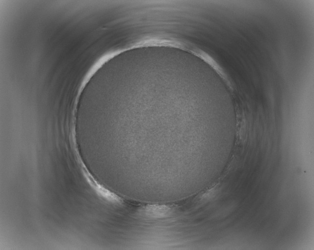 X0000081611094200701151359