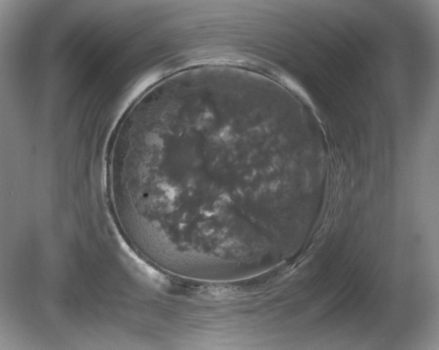 X0000081611095200701151359