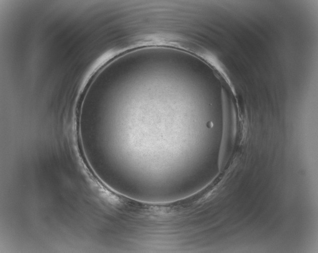 X0000081611096200701151359