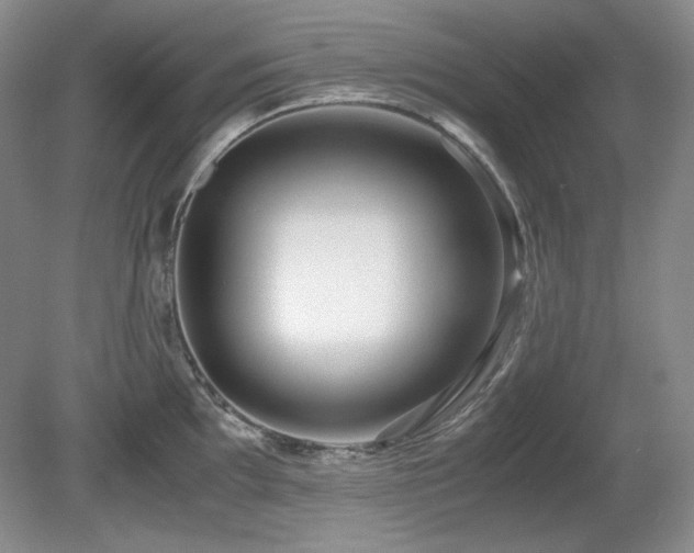 X0000081611097200701151359