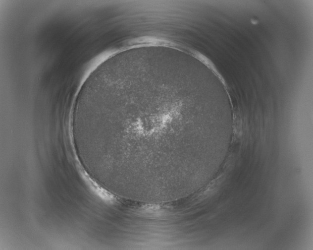 X0000081611098200701151359