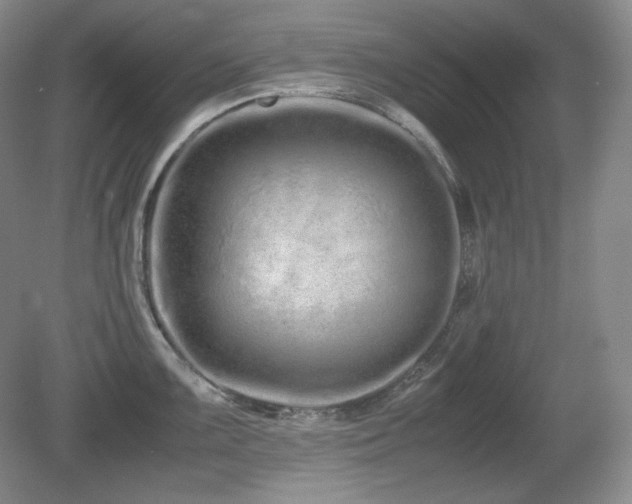 X0000081611099200701151359