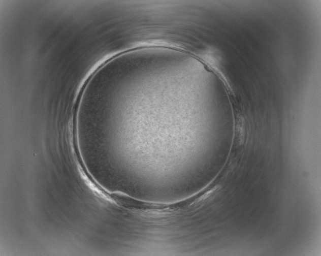 X0000081611100200701151359