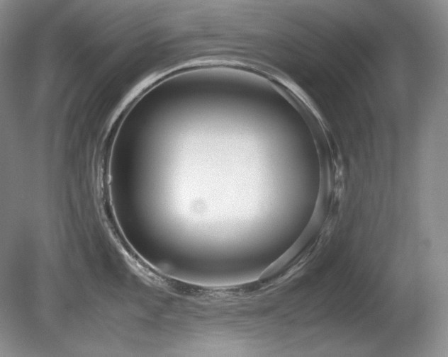 X0000081611101200701151359