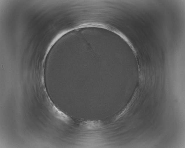 X0000081611102200701151359