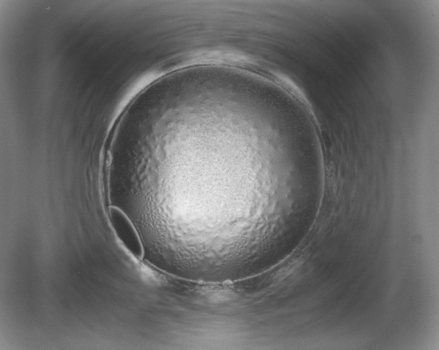 X0000081611103200701151359