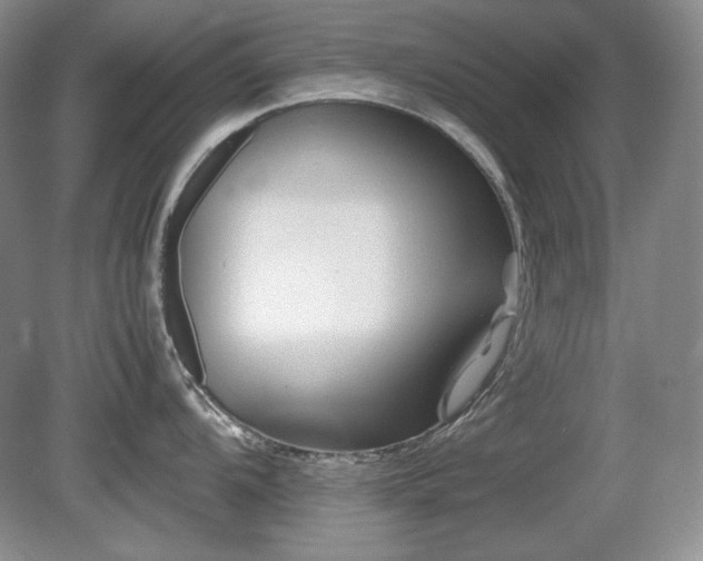 X0000081611104200701151359