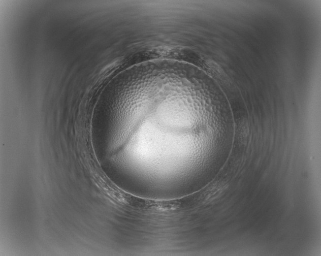 X0000081611105200701151358