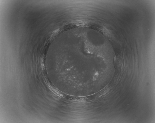 X0000081611106200701151358