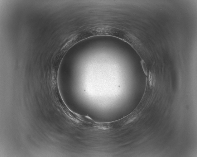 X0000081611107200701151358