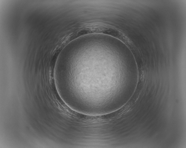 X0000081611108200701151358