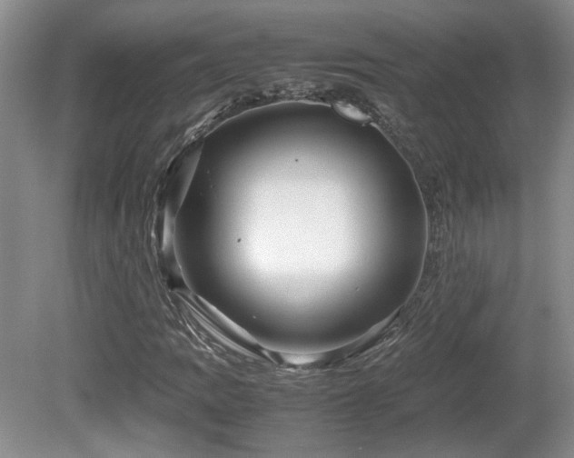 X0000081611109200701151358