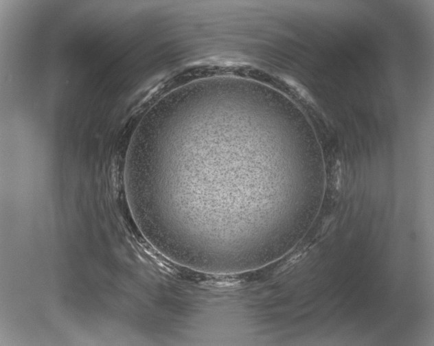 X0000081611110200701151358