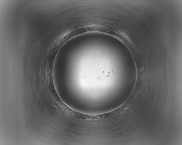 X0000081611111200701151358