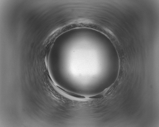 X0000081611112200701151358