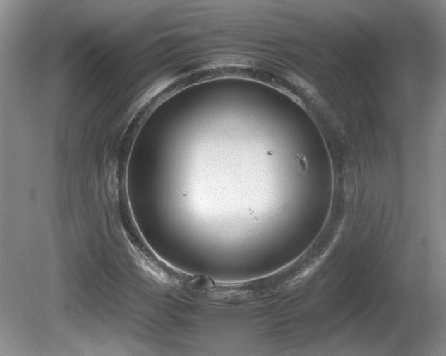 X0000081611113200701151358