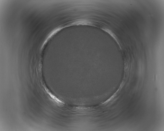 X0000081611115200701151358