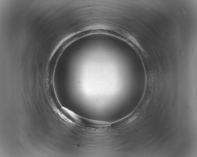 X0000081611116200701151358