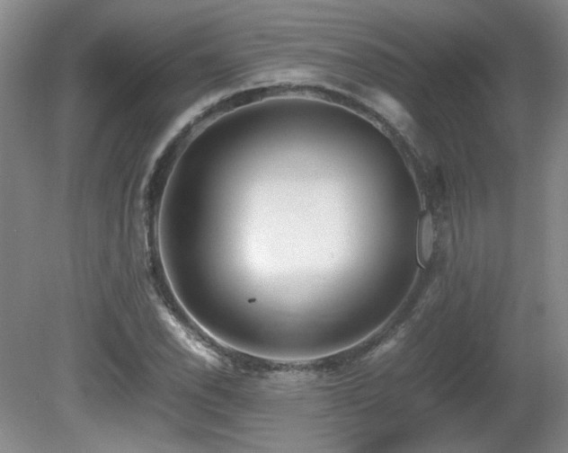 X0000081611118200701151358